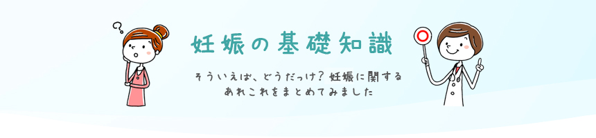 妊娠の基礎知識