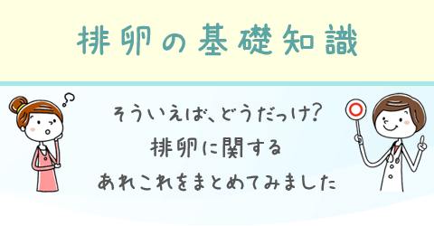 排卵と体調の関係