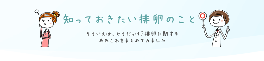 知っておきたい排卵のこと