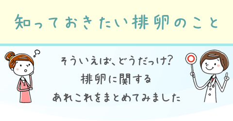 知っておきたい排卵のこと